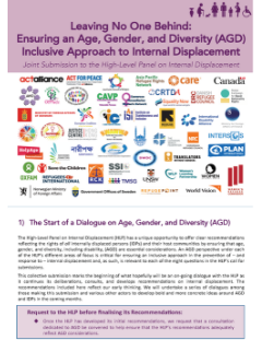 Age, Gender, Diversity High-Level Panel on Internal Displacement Joint Submission