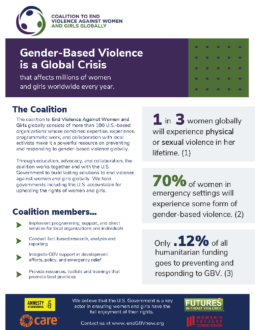 Coalition to End Violence Against Women and Girls Globally Two Pager