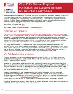 issue brief cover page