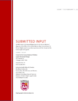 Input to the Special Rapporteur Cover Image