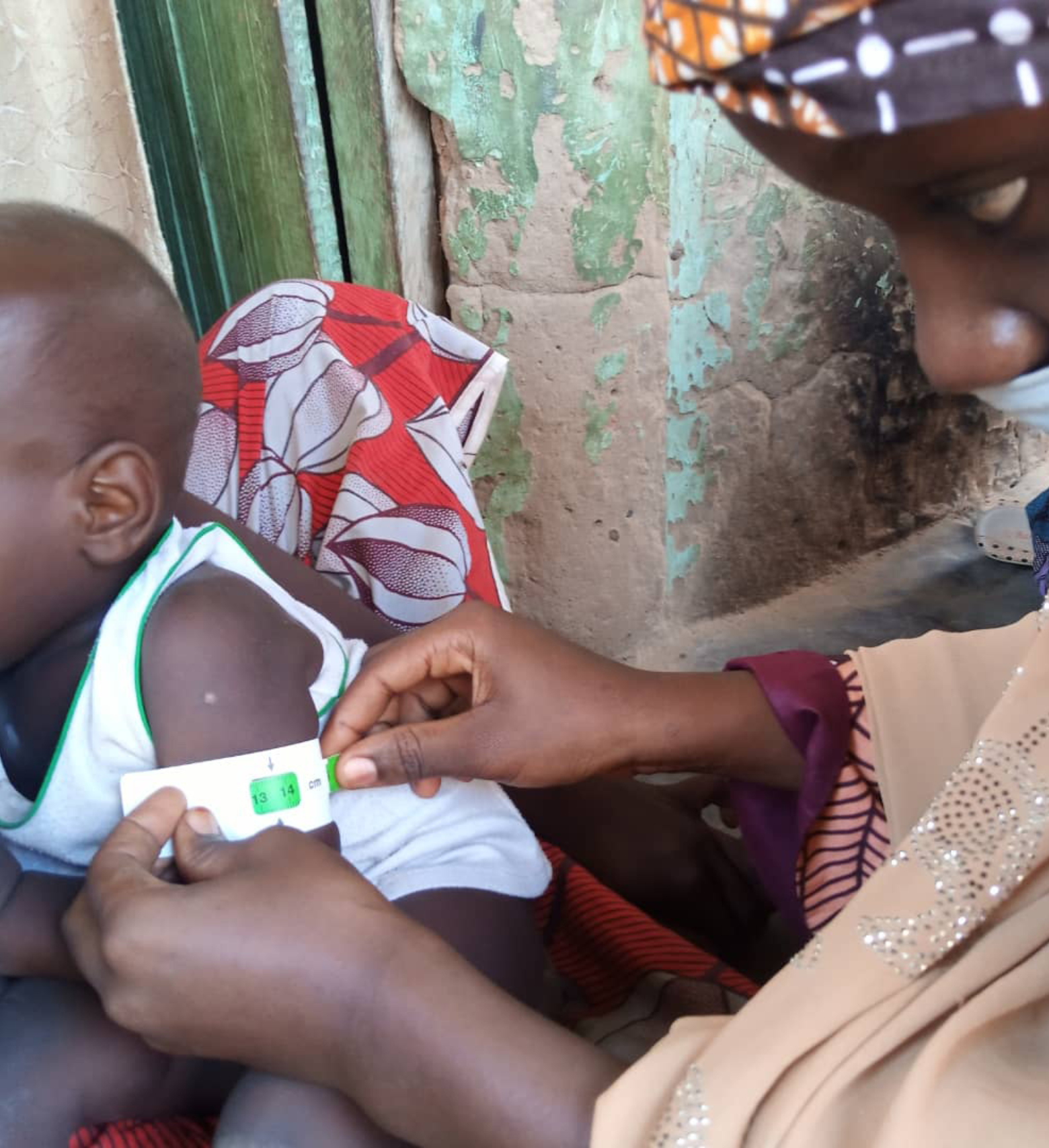Our Village Health Worker (VHW) program in Borno State, Nigeria, trained 219 VHWs to conduct home visits to provide basic health information and encourage the use of health services.