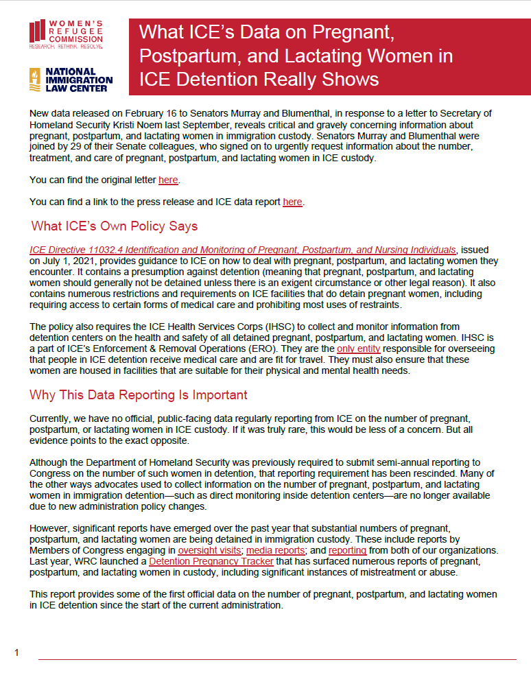 What ICE’s Data on Pregnant, Postpartum, and Lactating Women in ICE Detention Really Shows